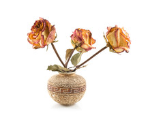 Roses In Ceramic Vase