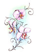 Orchid hand painted.