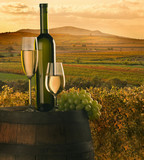 Fototapeta  - the vine with vineyard on background