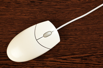 computer mouse