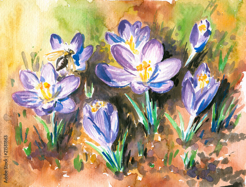 Naklejka na drzwi Crocus watercolor painted.