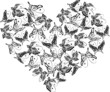 Flying butterflies in heart, vector illustration