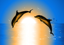 Dolphins In The Sunset