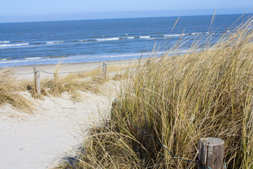 Plakat ścieżka plaża trawa woda lato