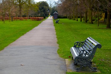 A bench in the park