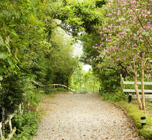 Obraz w ramie a walkway with beautiful scene in the park