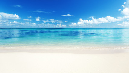 Canvas Print - sand and Caribbean sea