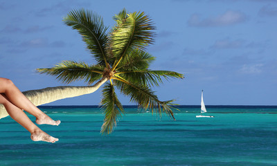 Woman`s legs on tropical beach background