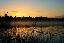 Sunrise Over A Marsh