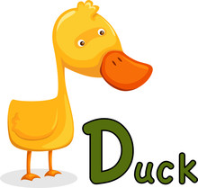 Animal Alphabet D For Duck