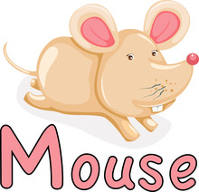 Animal Alphabet M For Mouse