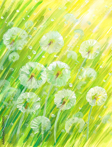 Fototapeta na wymiar Background with dandelions watercolor painted