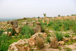 Ruins of Gordianus III.'s Palace, Volubilis, Morocco