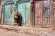 Old doors - Kathmandu (Nepal)