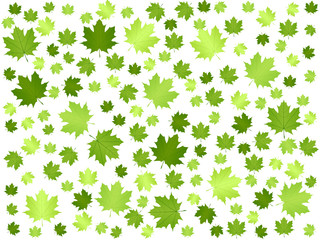 green leaf background 2