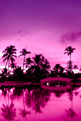 Wall Mural - Pink and red sunset over sea beach with palms