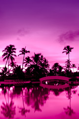 Sticker - Pink and red sunset over sea beach with palms