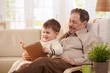 © nyul - Grandfather reading tales to grandson