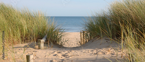Fotoboard na płycie Ścieżka plażowa przez wydmy