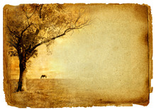 Vintage Paper Background With Autumn Tree