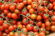 tomate, cerise