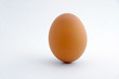 © BigChen - A real brown standing egg with white background.