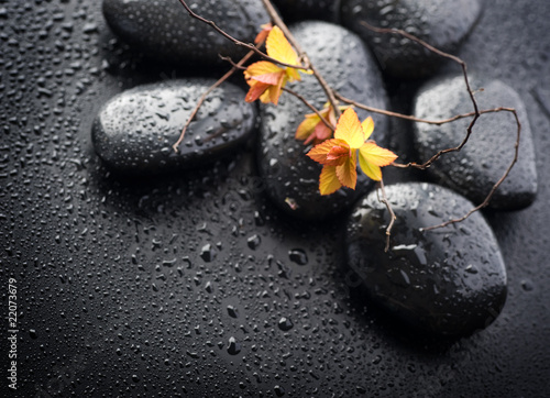 Naklejka na szybę Wet Zen Spa Stones