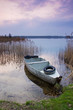 A boat on the shore of Lake