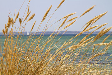 Wall Mural - Am Strand