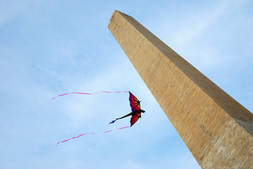 Canvas Print - Kite and George Washington Monument, Washington DC