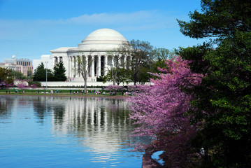 washington dc