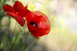 160_f_22264222_mwbrvw6xdfbvkfmdayu47oqzecilepag