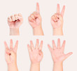 Hands and fingers sign symbol gesture from zero to five