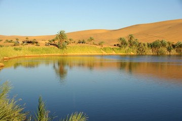 Wall Mural - Lac, desert de Libye