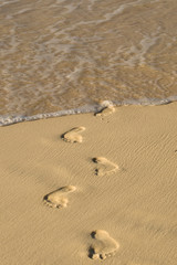Wall Mural - Footprints on white sand beach