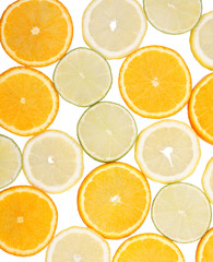 Wall Mural - citrus collection.