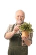 © nyul - Cheerful elderly man holding plant smiling