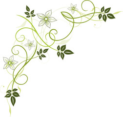 Fototapete - Blumen, Blüten, Ranke, Blätter, floral, filigran, grün
