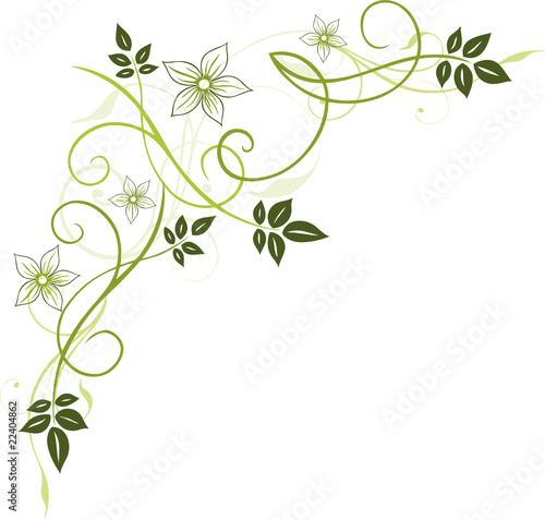 Blumen, Blüten, Ranke, Blätter, floral, filigran, grün Stock Vector ...