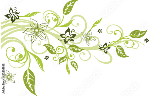 Blumen, Blüten, Ranke, Blätter, floral, filigran, grün Stock