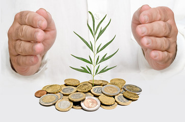 Hands protecting tree growing from pile of coins