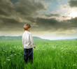 © olly - Panorama