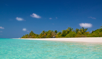 Canvas Print - einsamer tropischer Strand