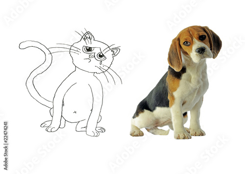 Chien Et Chat Ensemble Au Regard Triste Buy This Stock