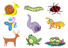 Assorted Cute Animal Illustration In Vector