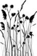 Vector silhouette of grass blades with bur