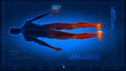 Wall Mural - Human body scan in loop 2- whole body