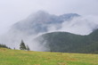 Mgła w Dolinie Chochołowskiej