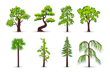 Tree icons