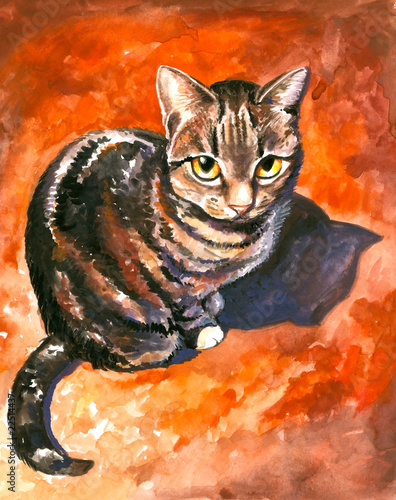 Fototapeta na wymiar Cat watercolor painted.